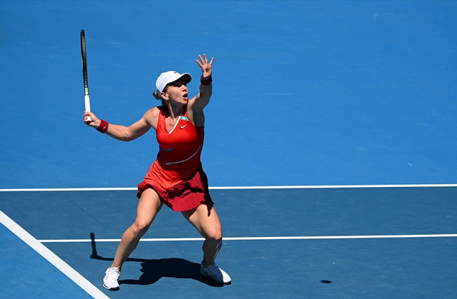 法国羽毛球队爆冷韩国羽毛球队，陶菲克高光表现的简单介绍