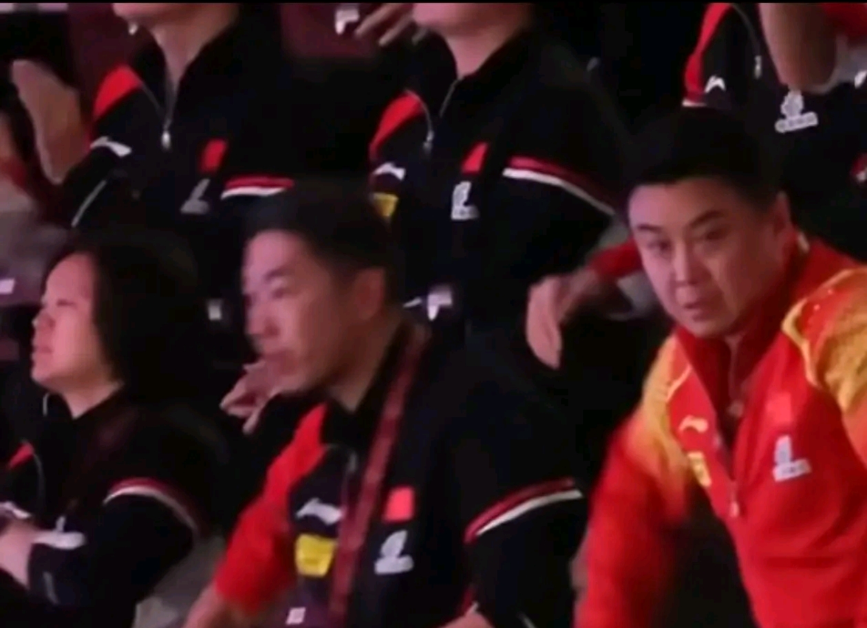 法国乒乓球队碾压中国乒乓球队，王皓一己之力扛起全队的简单介绍