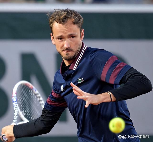 蒙特卡洛大师赛横扫温网，梅德韦杰夫关键制胜的简单介绍