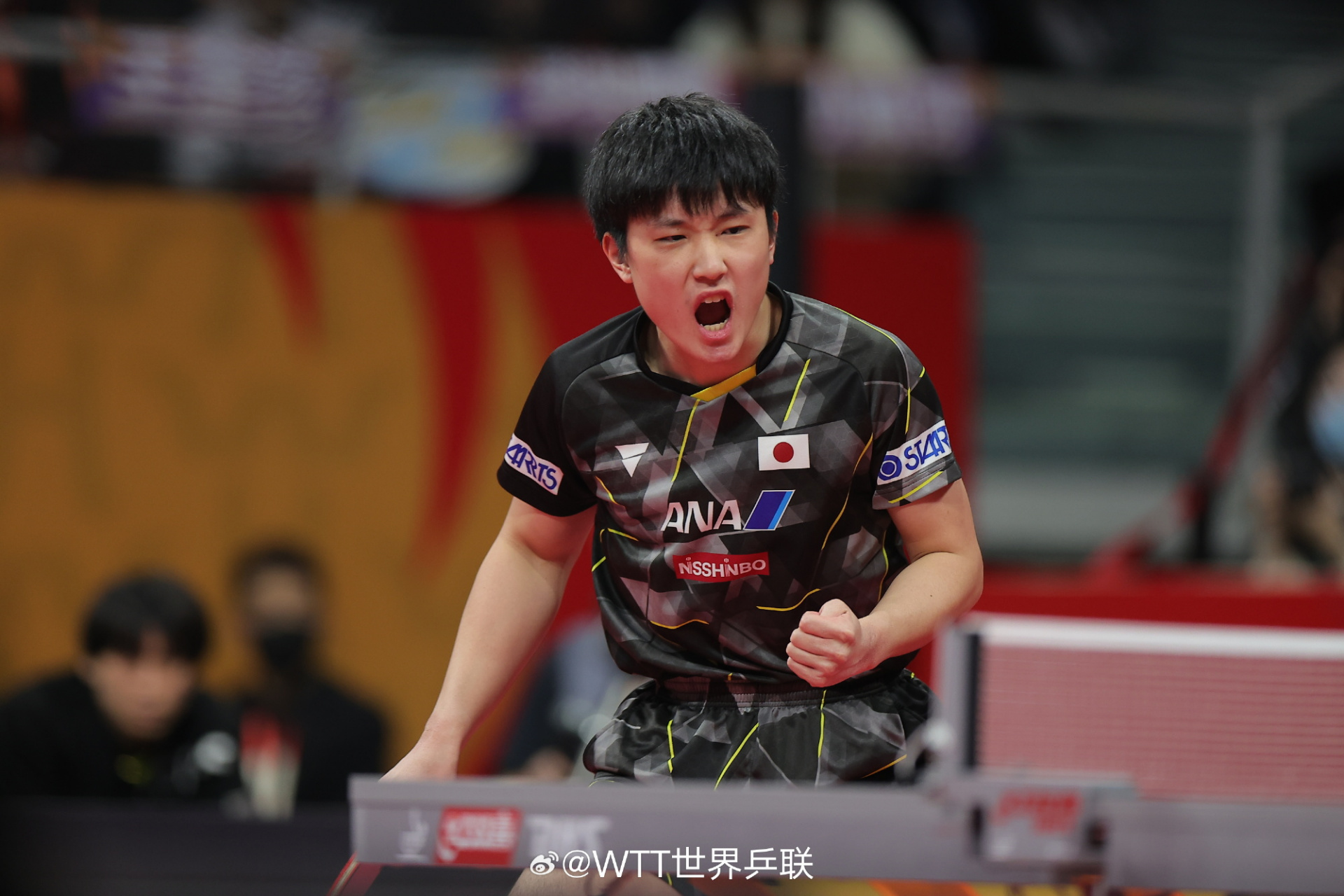 德国乒乓球队翻盘奥地利乒乓球队，张本智和惊艳世界的简单介绍