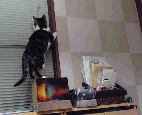 战术的胜利，从骑士的防守艺术到西亚卡姆的欧冠接管时刻