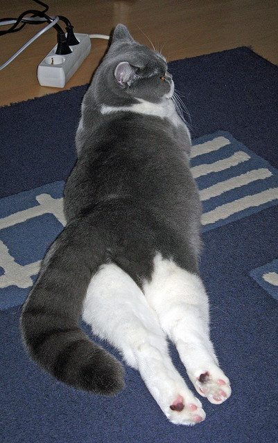 盐湖城与费城的终极对决，抢七夜的永恒记忆