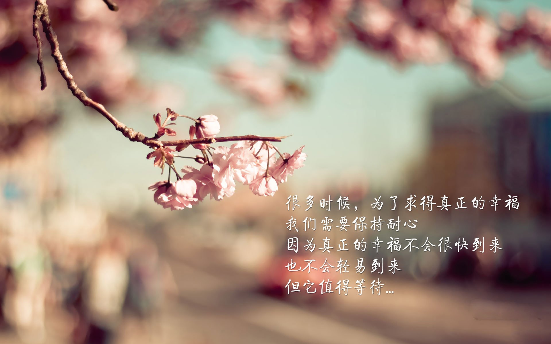 福登爆发点燃绿茵，伊拉克奇迹之路映照贝蒂斯争冠启示