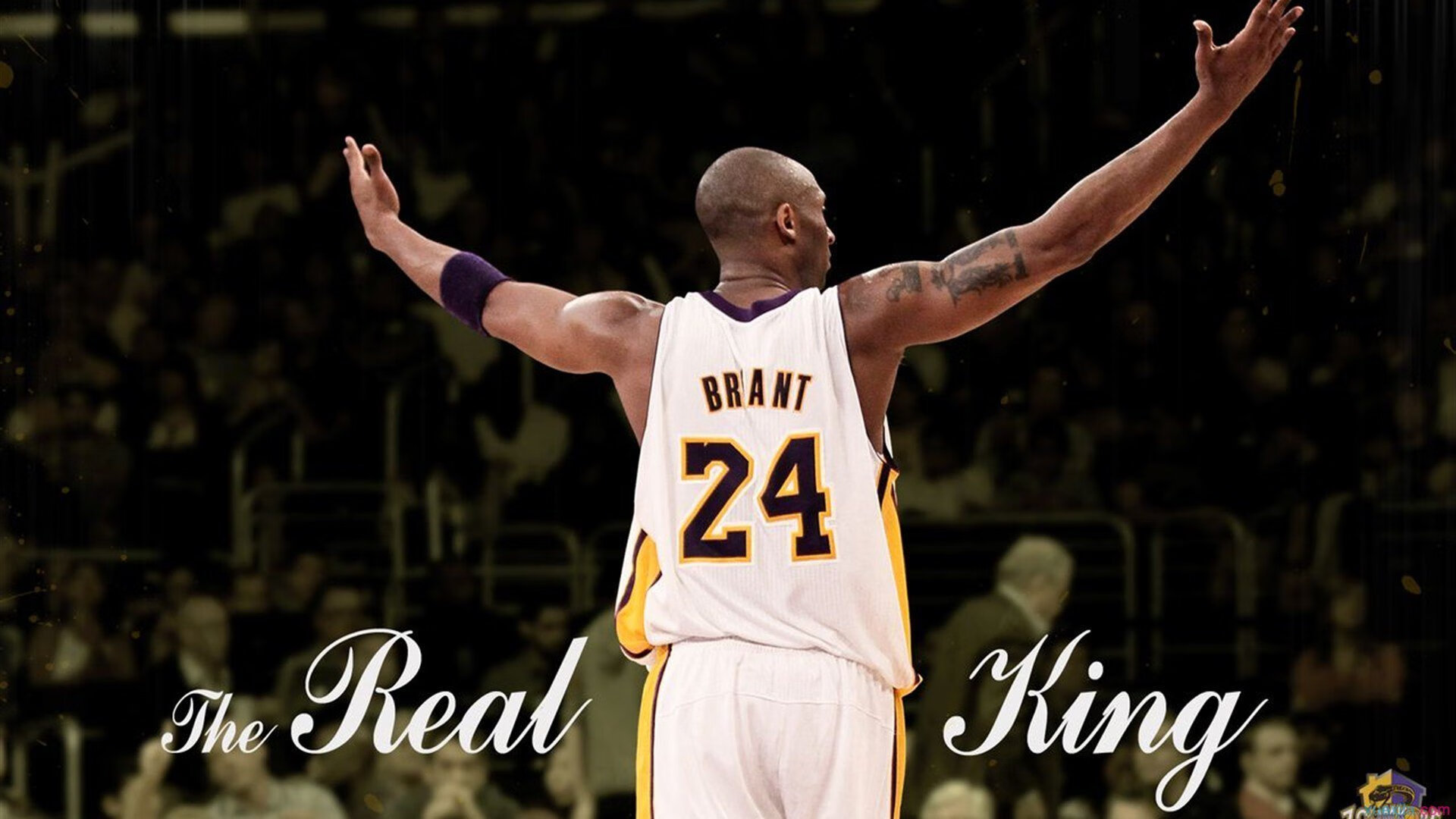 从奥斯陆到马德里，鲁德领衔年终总决赛完胜，北欧网球的集体胜利